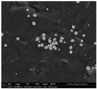 Chemosensors 11 00204 i001 Chemosensors 11 00204 i001