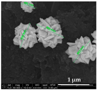 Chemosensors 11 00204 i002 Chemosensors 11 00204 i002