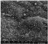 Chemosensors 11 00204 i003 Chemosensors 11 00204 i003