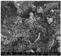 Chemosensors 11 00204 i005 Chemosensors 11 00204 i005