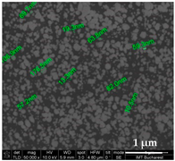 Chemosensors 11 00204 i006 Chemosensors 11 00204 i006