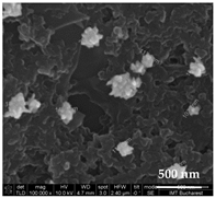 Chemosensors 11 00204 i008 Chemosensors 11 00204 i008