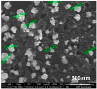 Chemosensors 11 00204 i010 Chemosensors 11 00204 i010