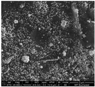 Chemosensors 11 00204 i011 Chemosensors 11 00204 i011