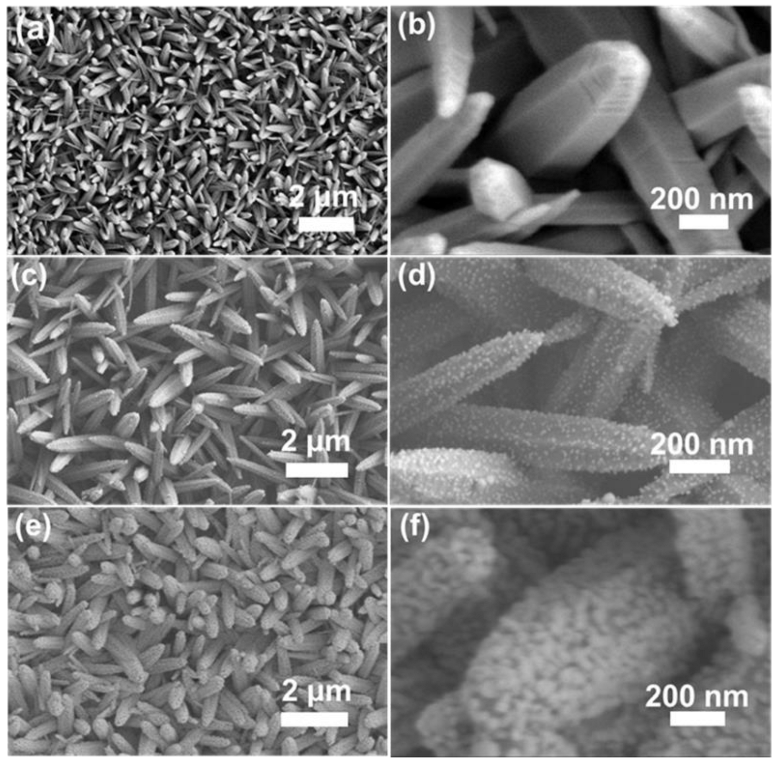 Chemosensors 11 00210 g001