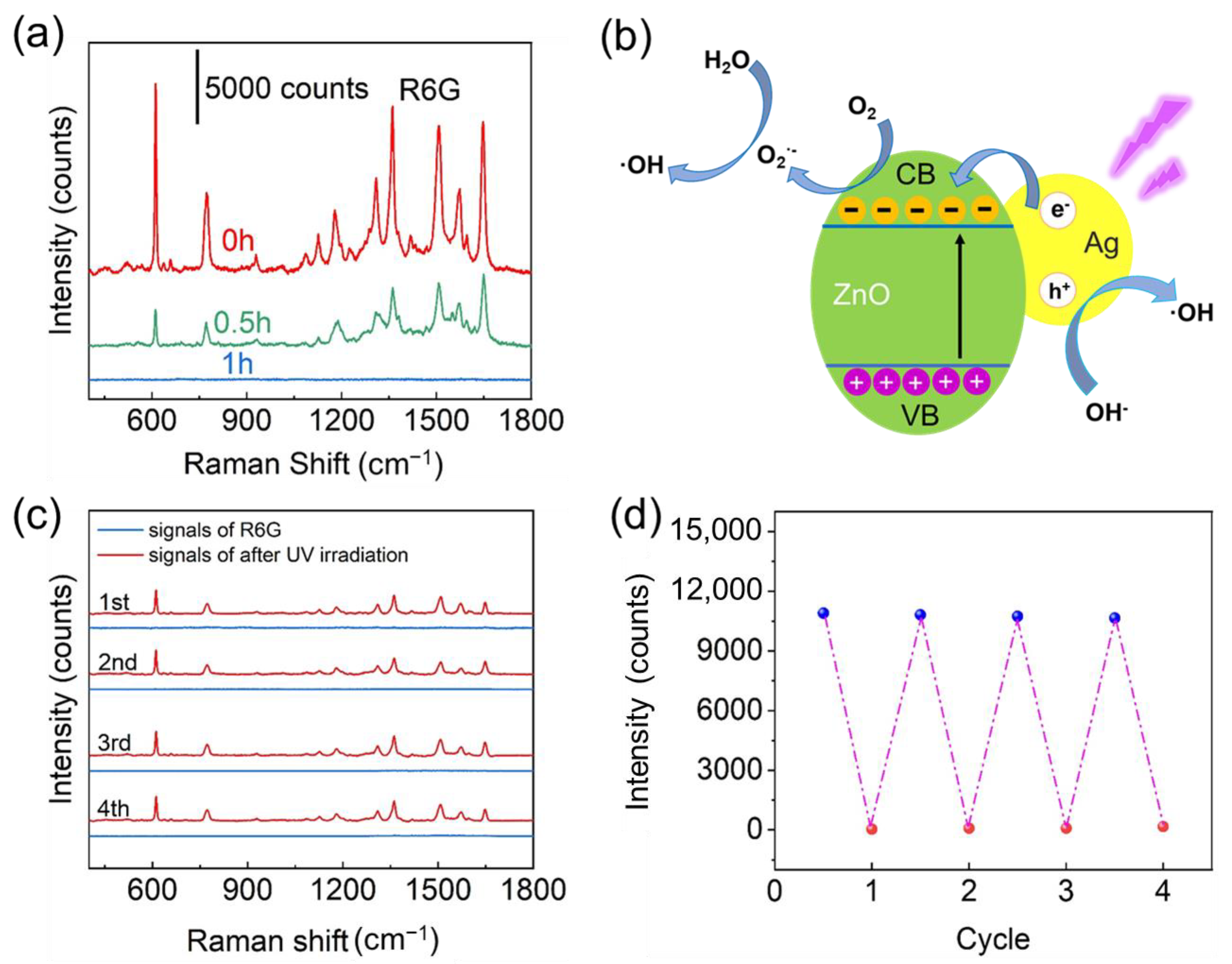 Chemosensors 11 00210 g005