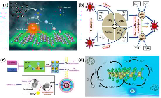 Chemosensors 11 00212 g003