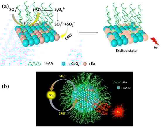 Chemosensors 11 00212 g004