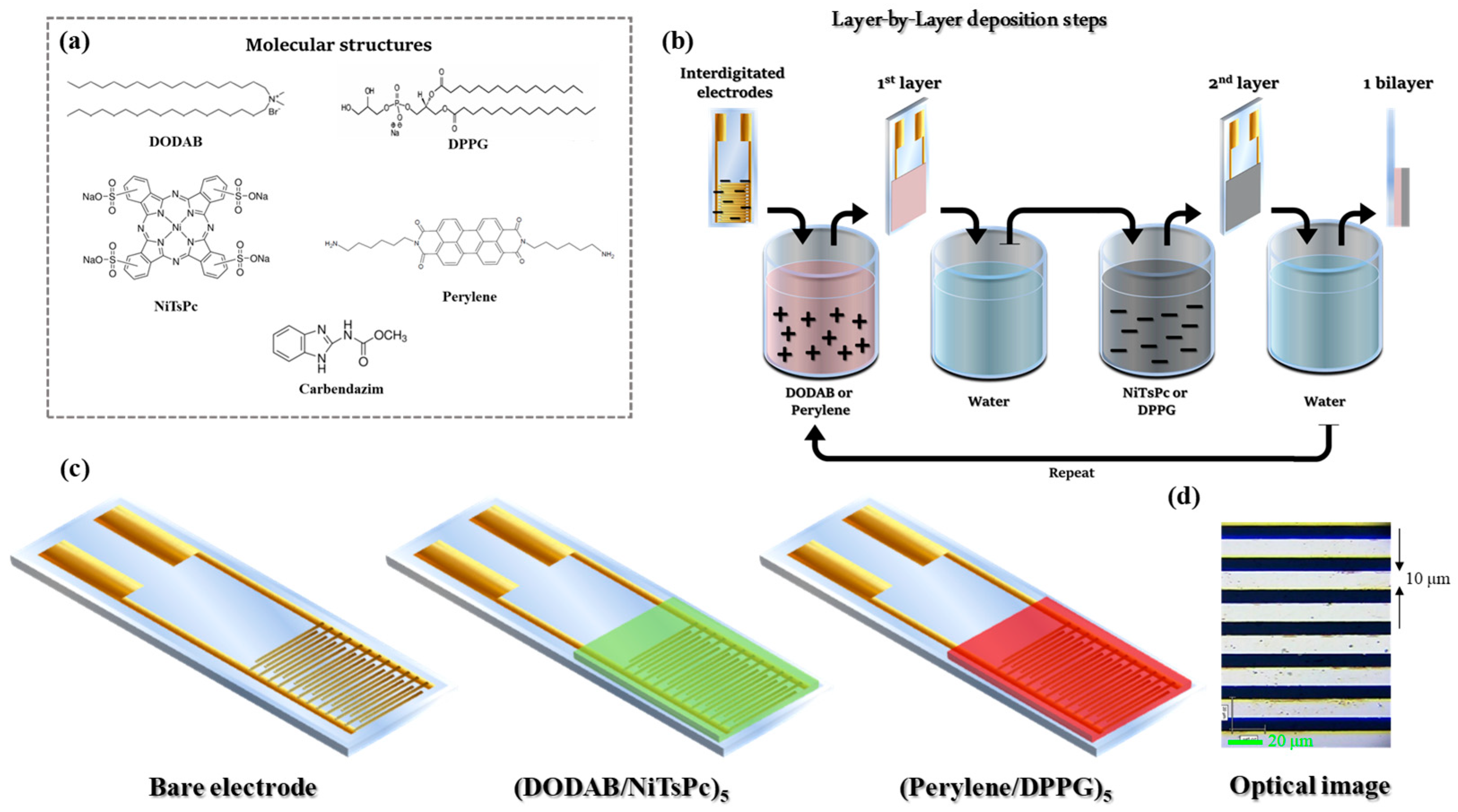 Chemosensors 11 00213 g001