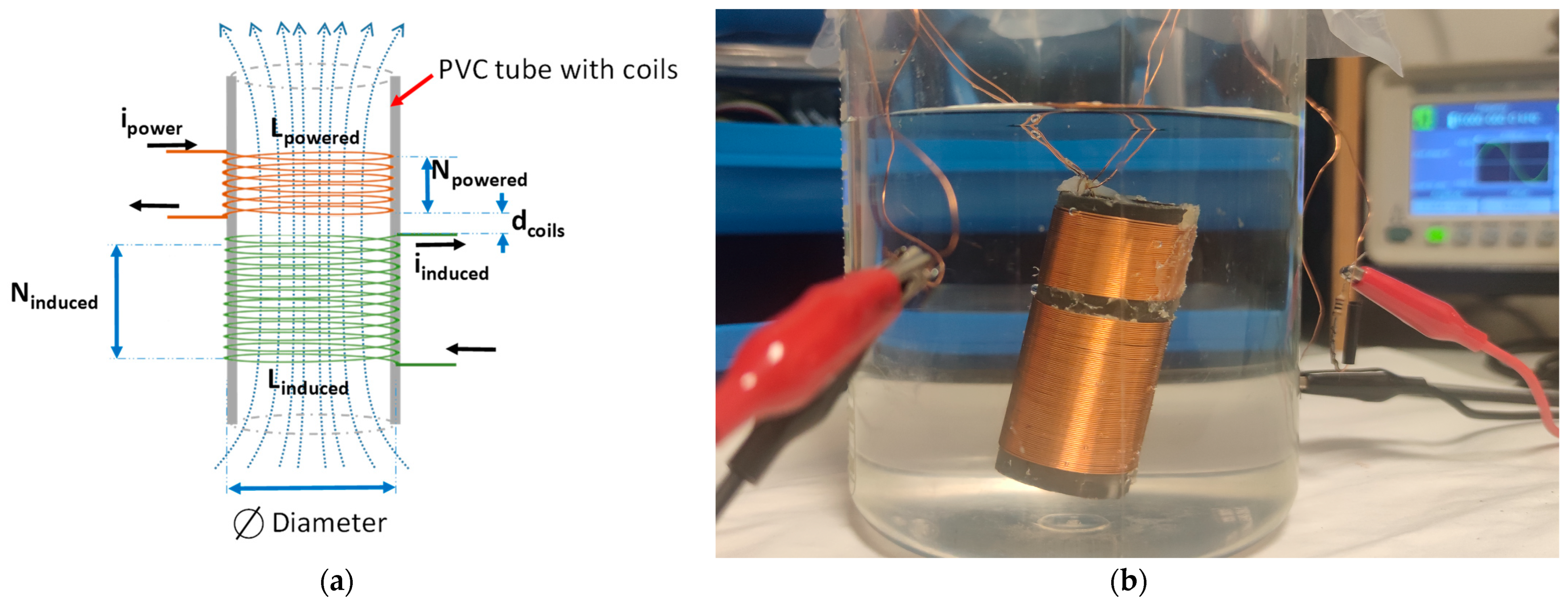 Chemosensors 11 00215 g001