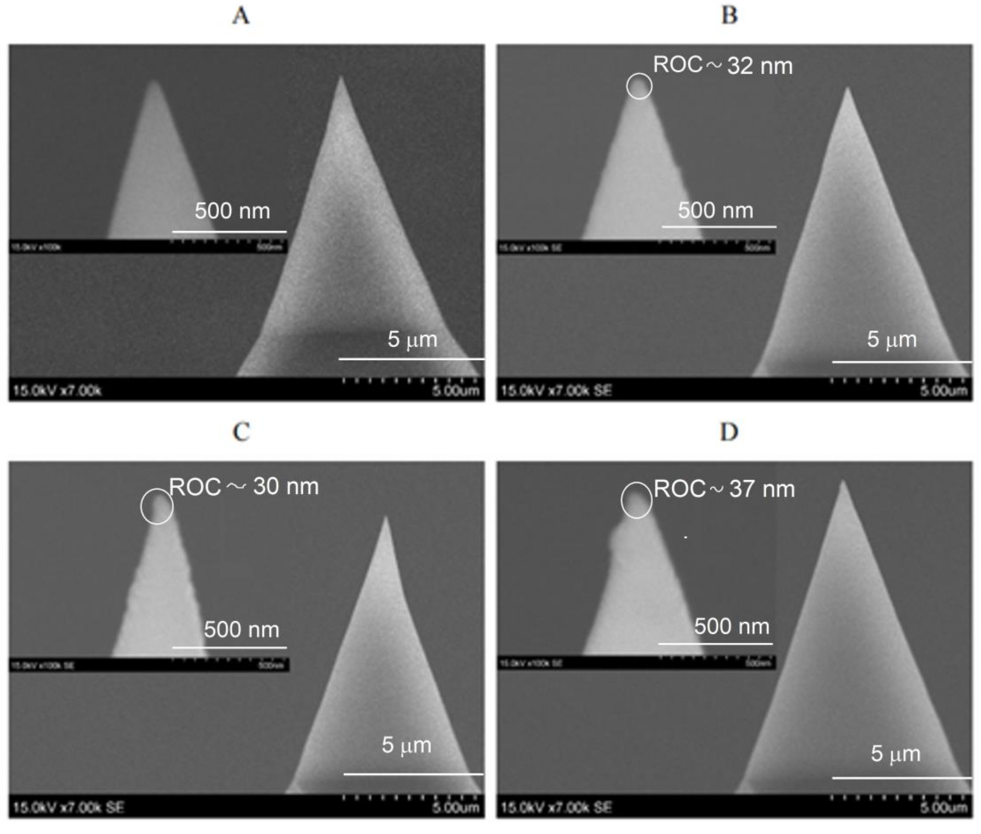 Chemosensors 11 00218 g004