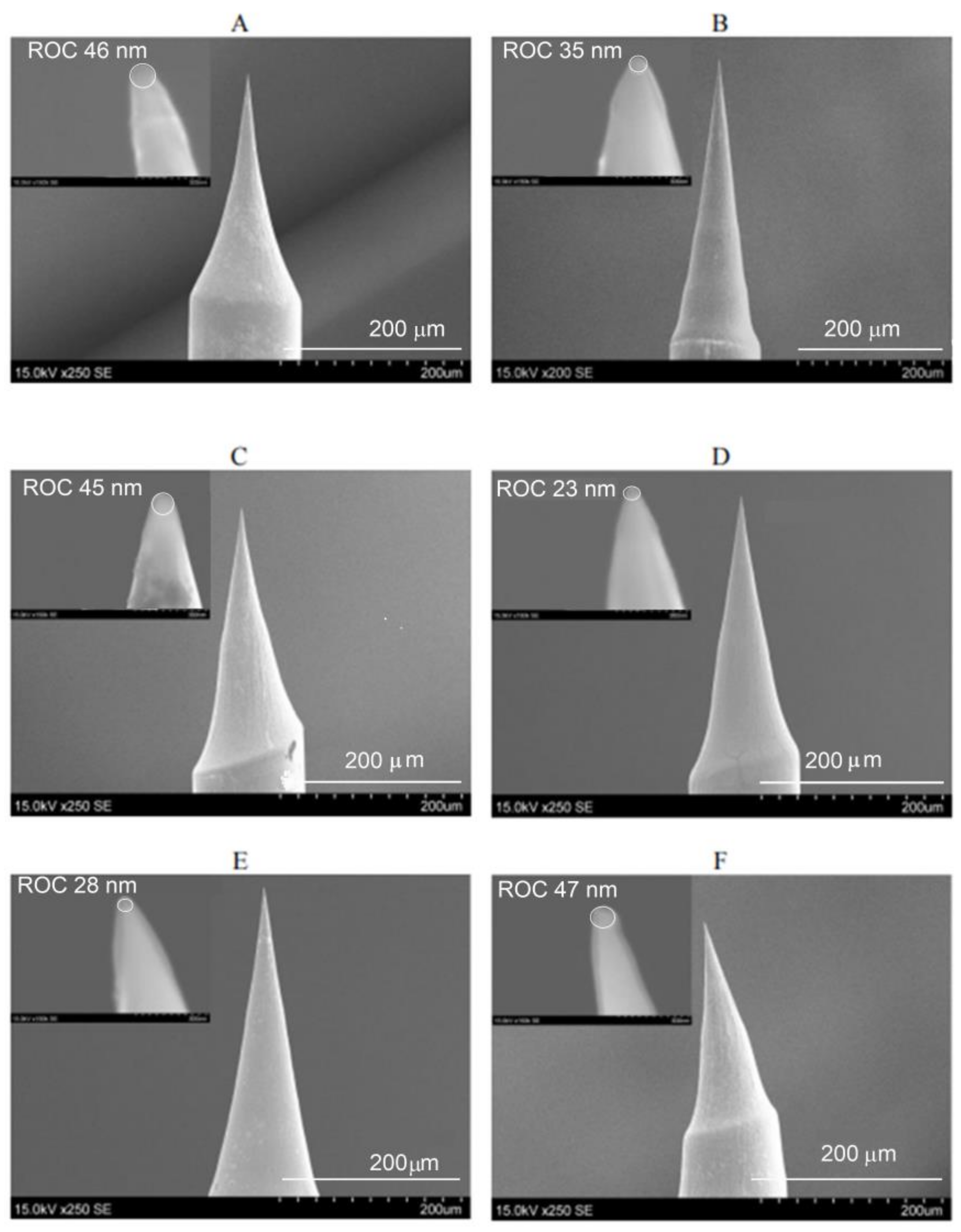 Chemosensors 11 00218 g006