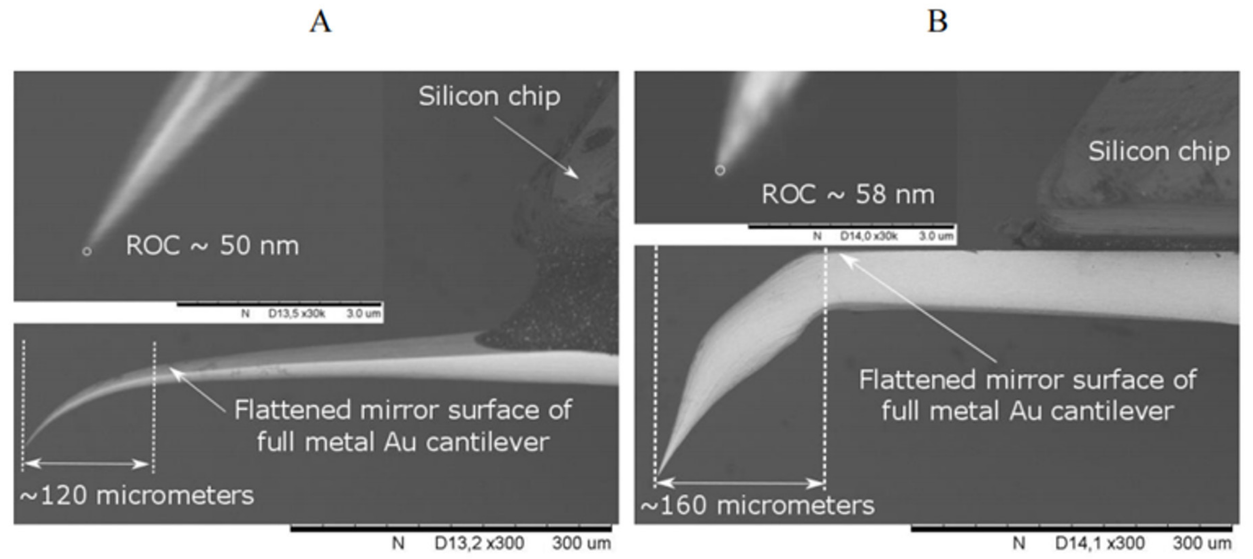 Chemosensors 11 00218 g008