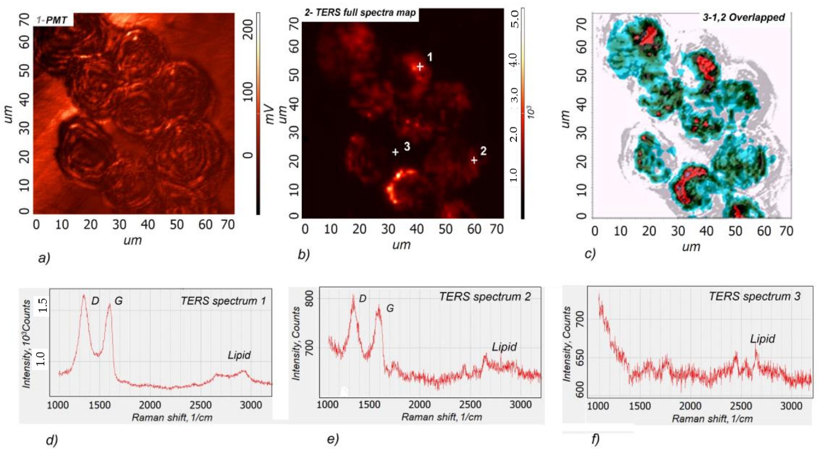 Chemosensors 11 00218 g011