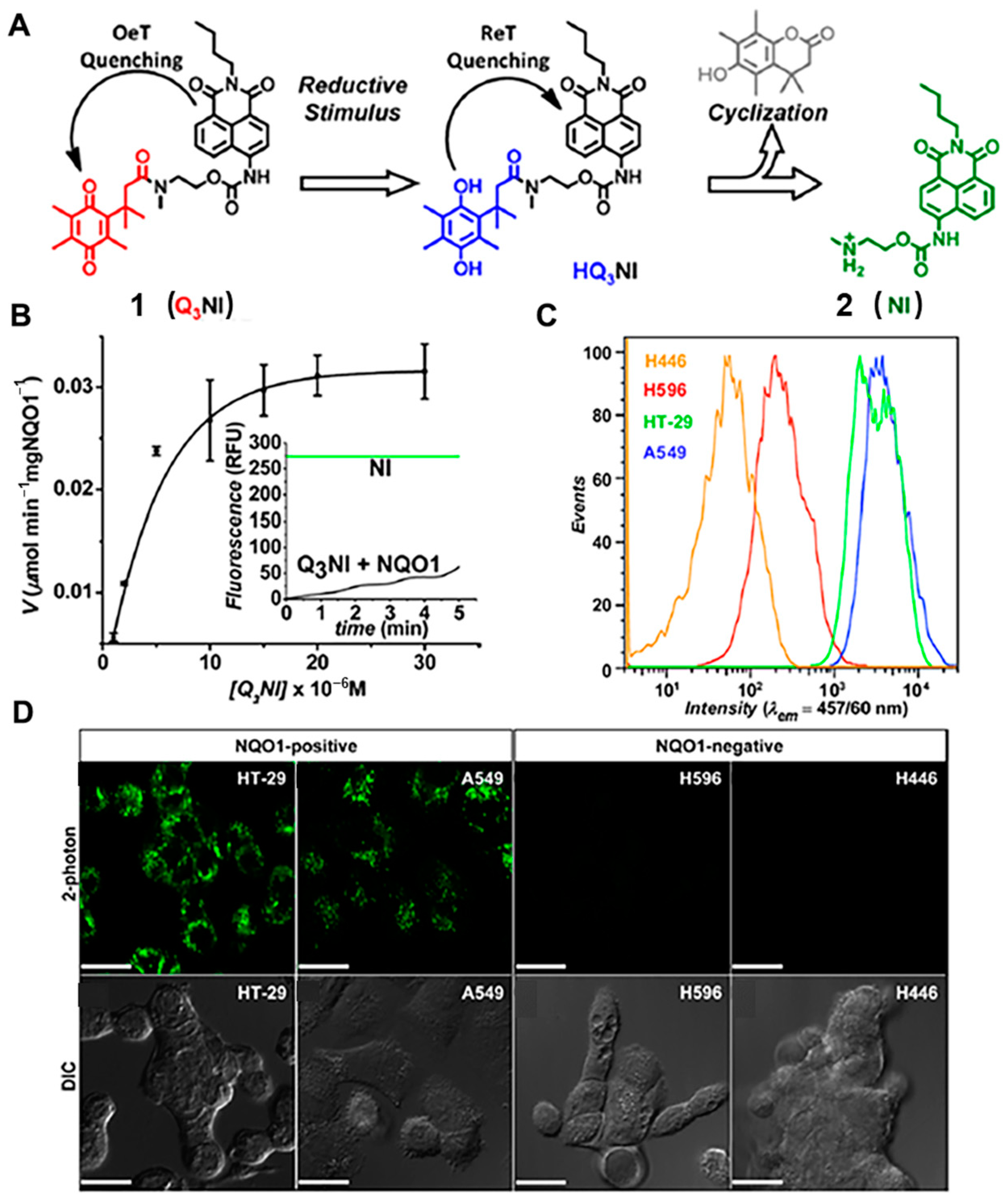 Chemosensors 11 00221 g002