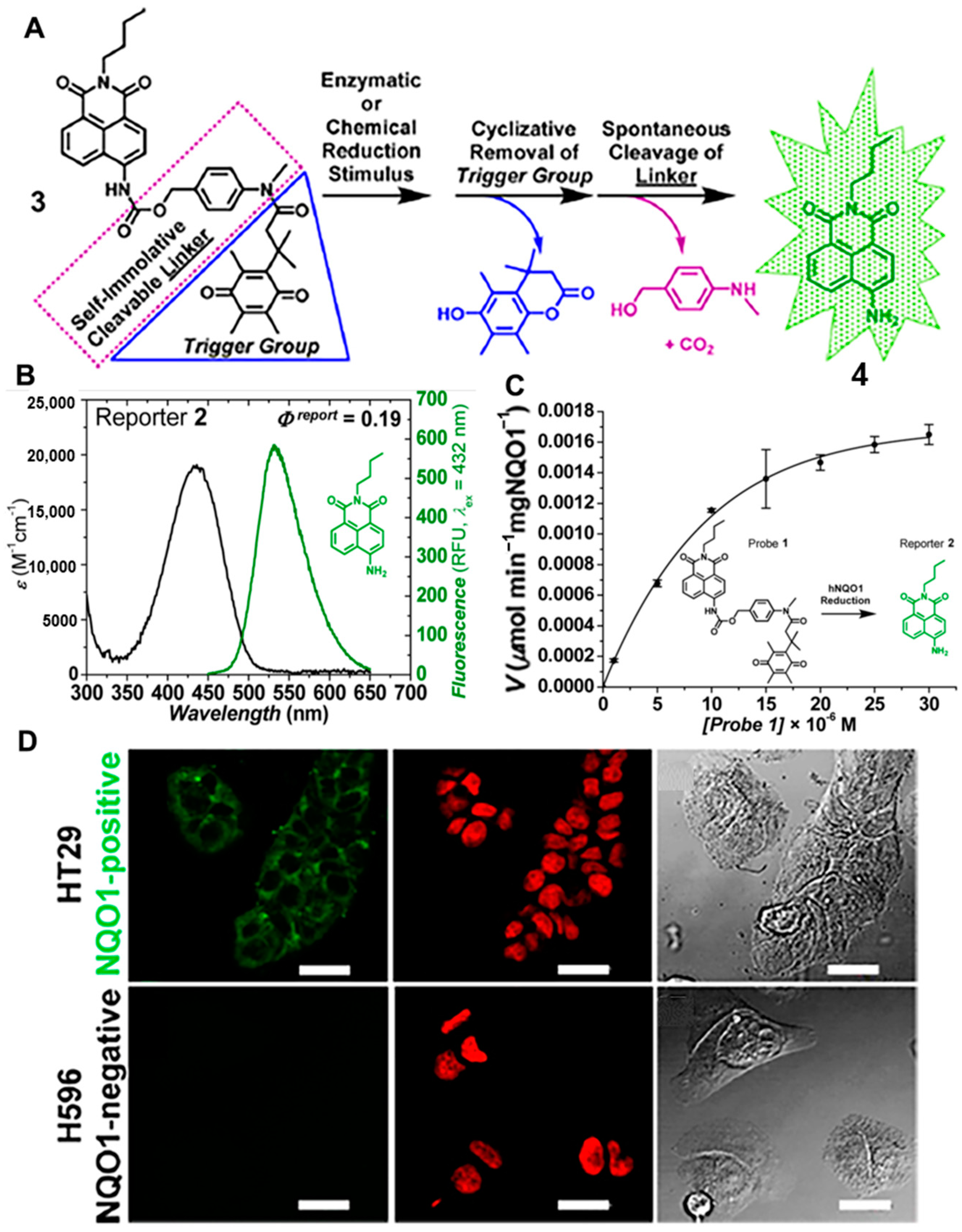 Chemosensors 11 00221 g003