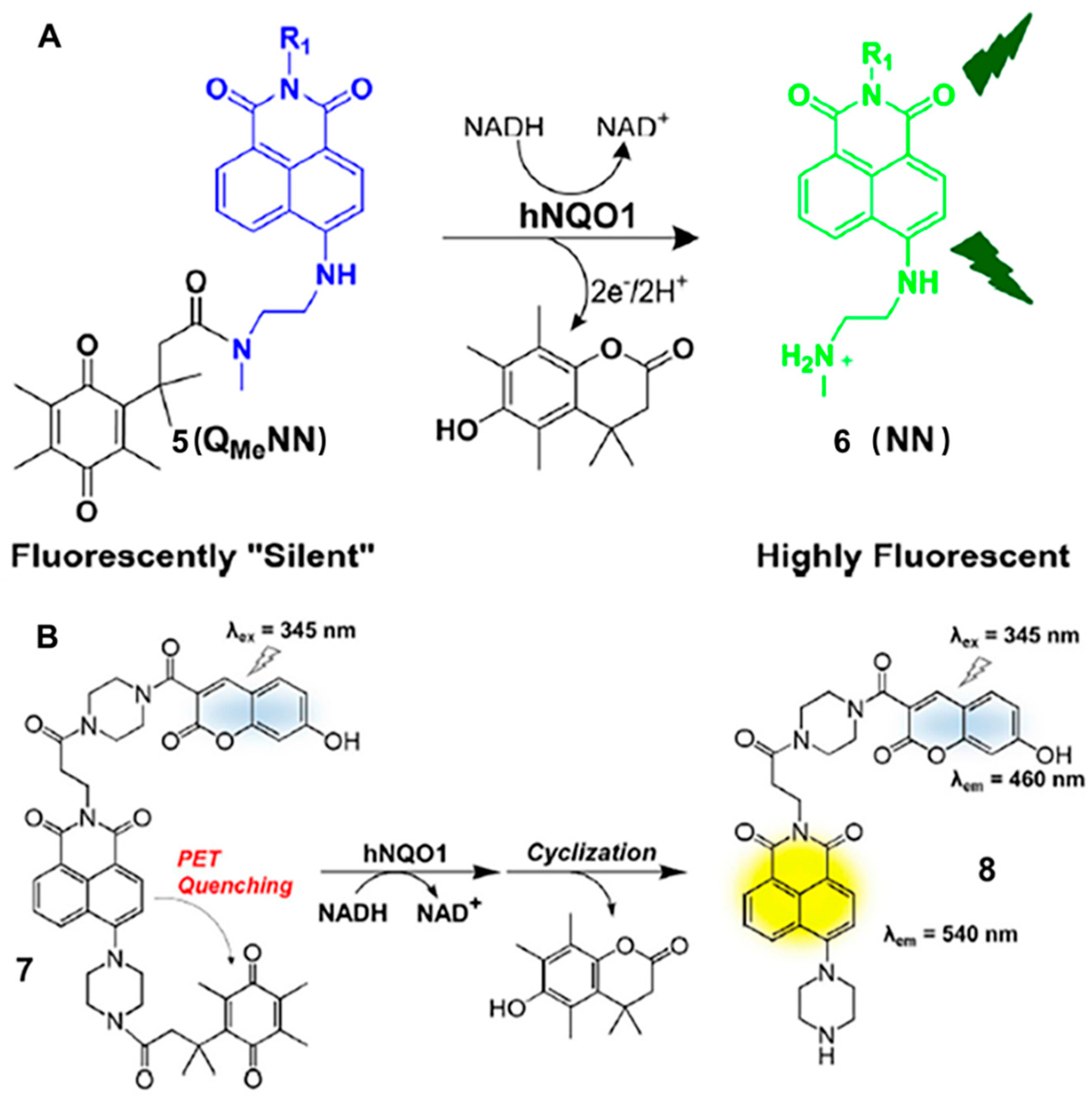 Chemosensors 11 00221 g004