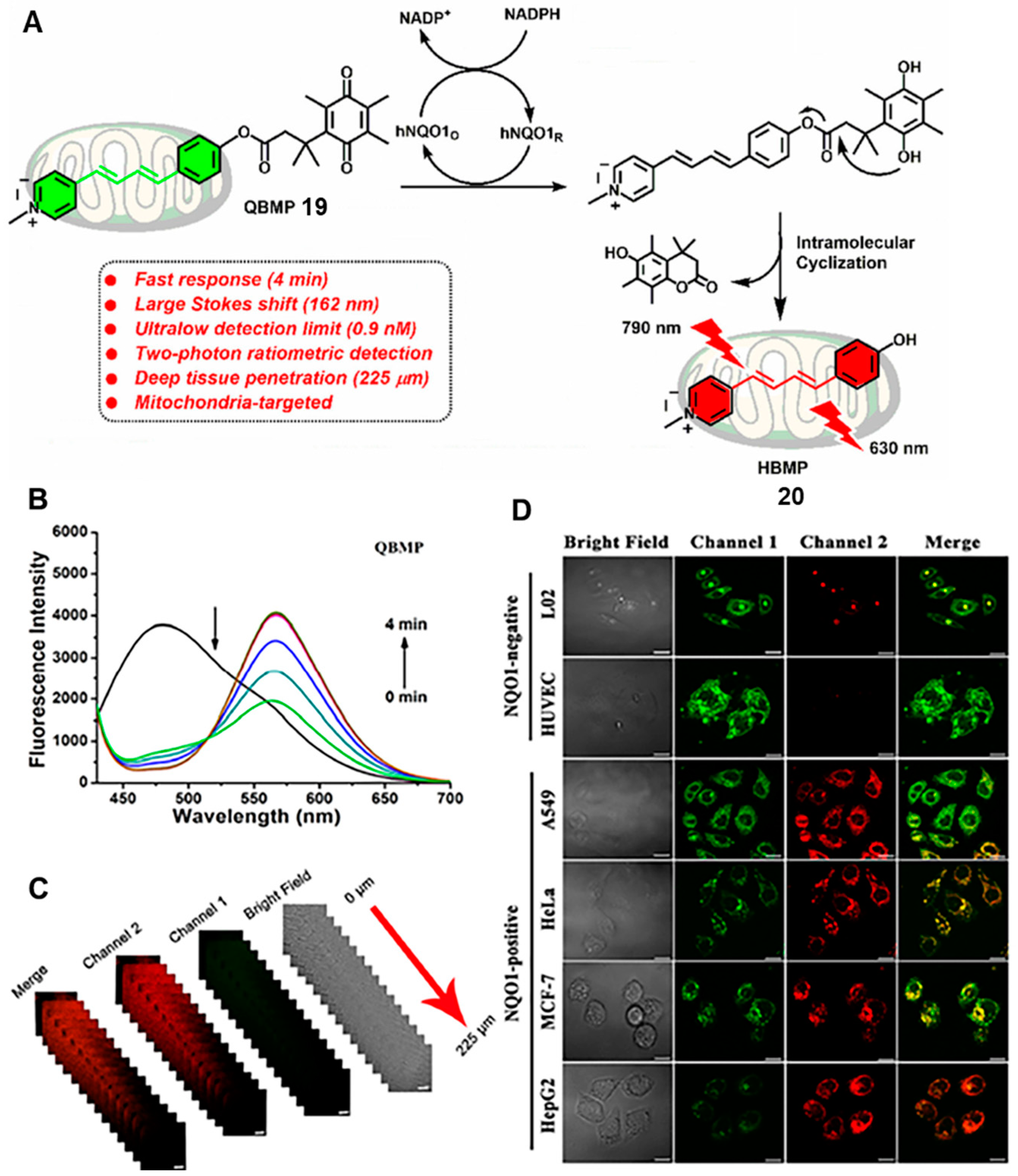 Chemosensors 11 00221 g008