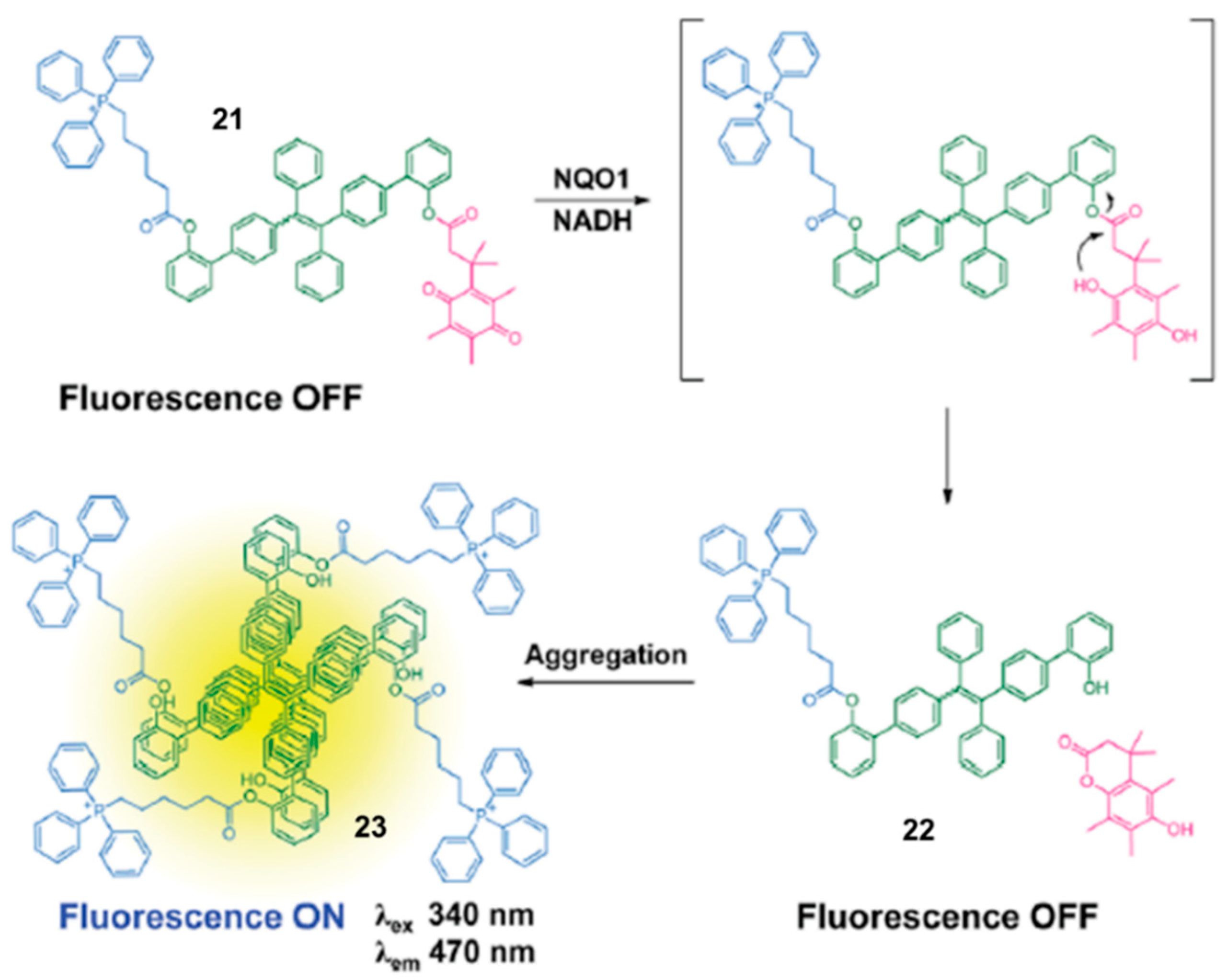 Chemosensors 11 00221 g009