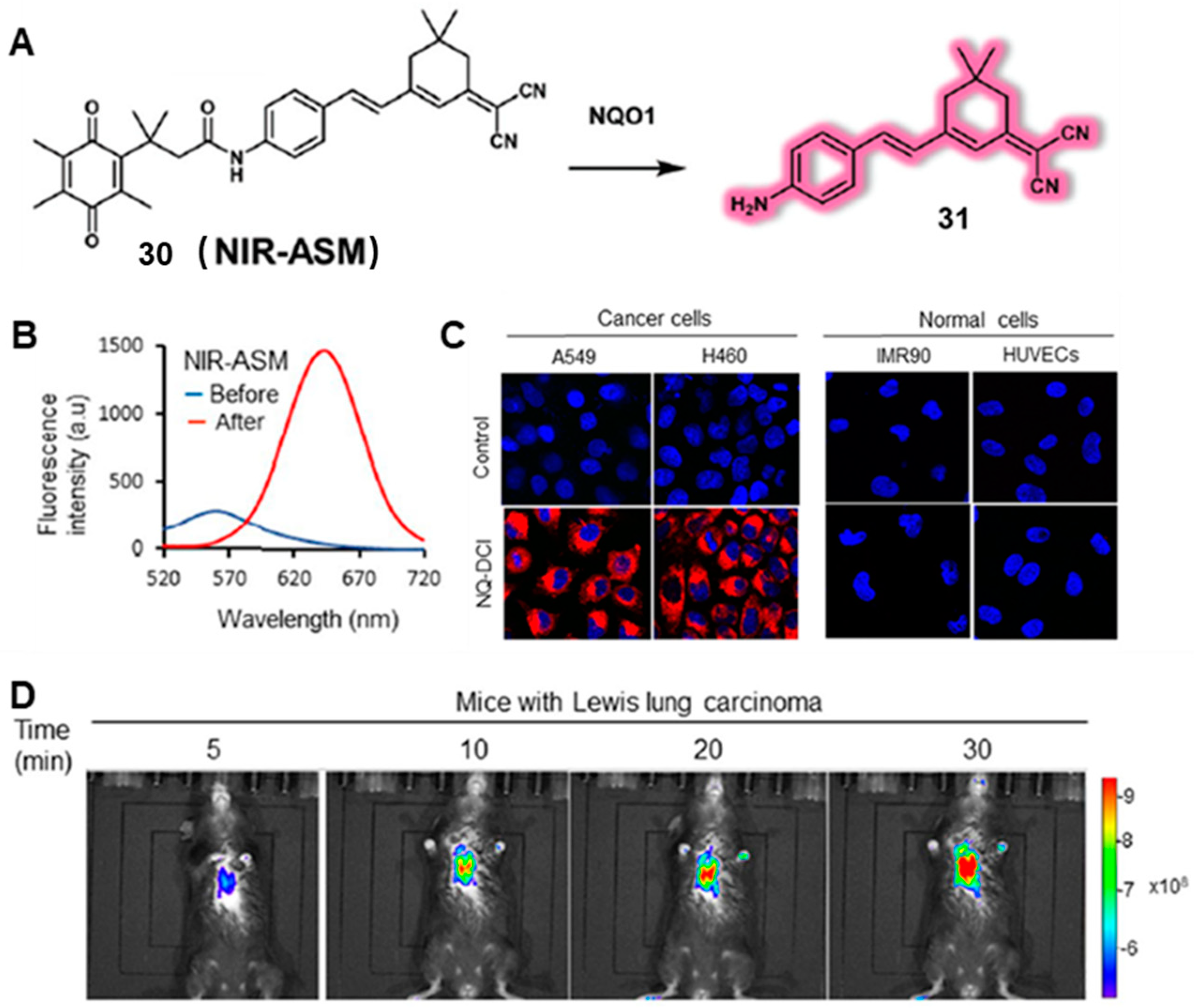 Chemosensors 11 00221 g012