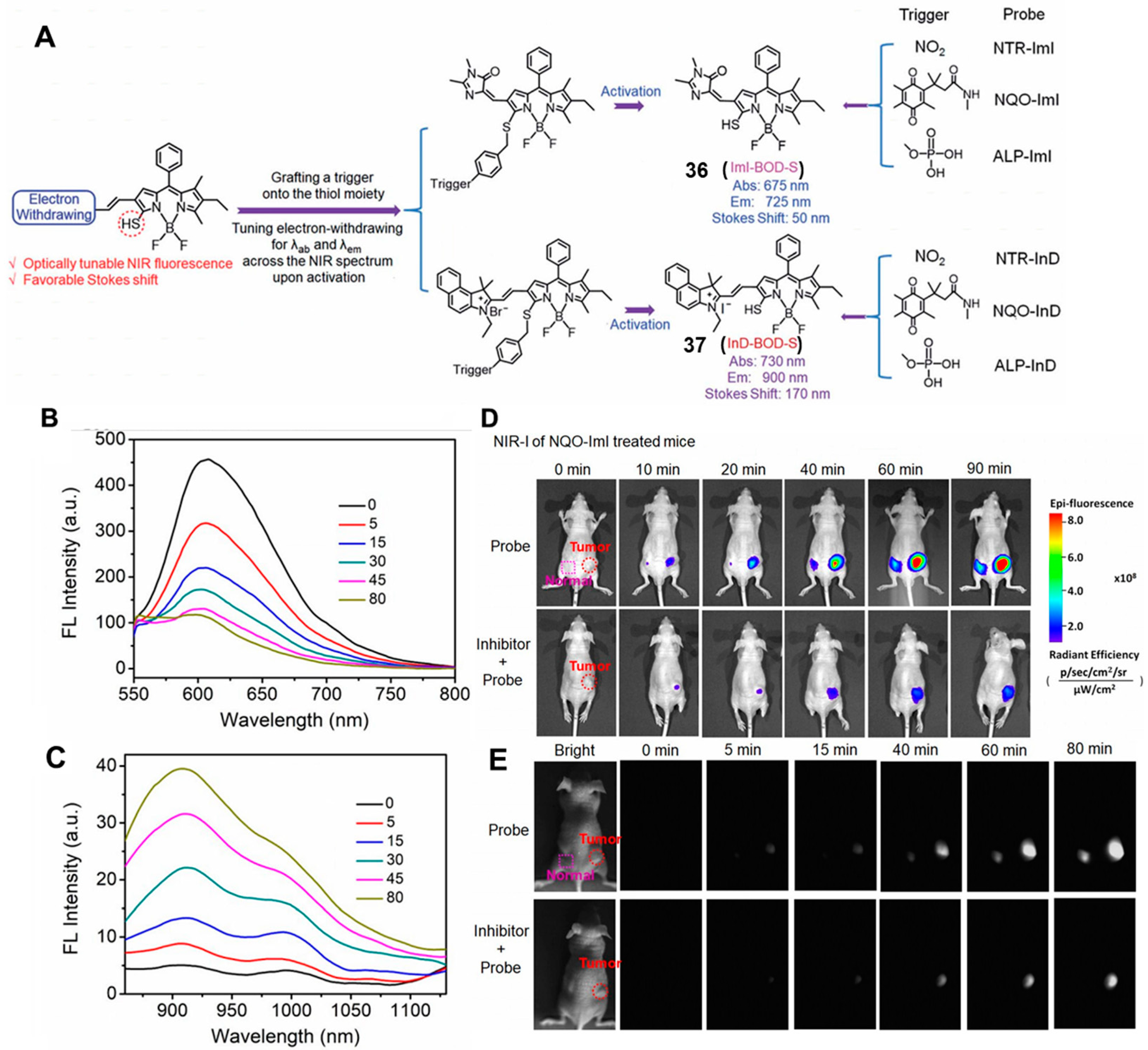 Chemosensors 11 00221 g014