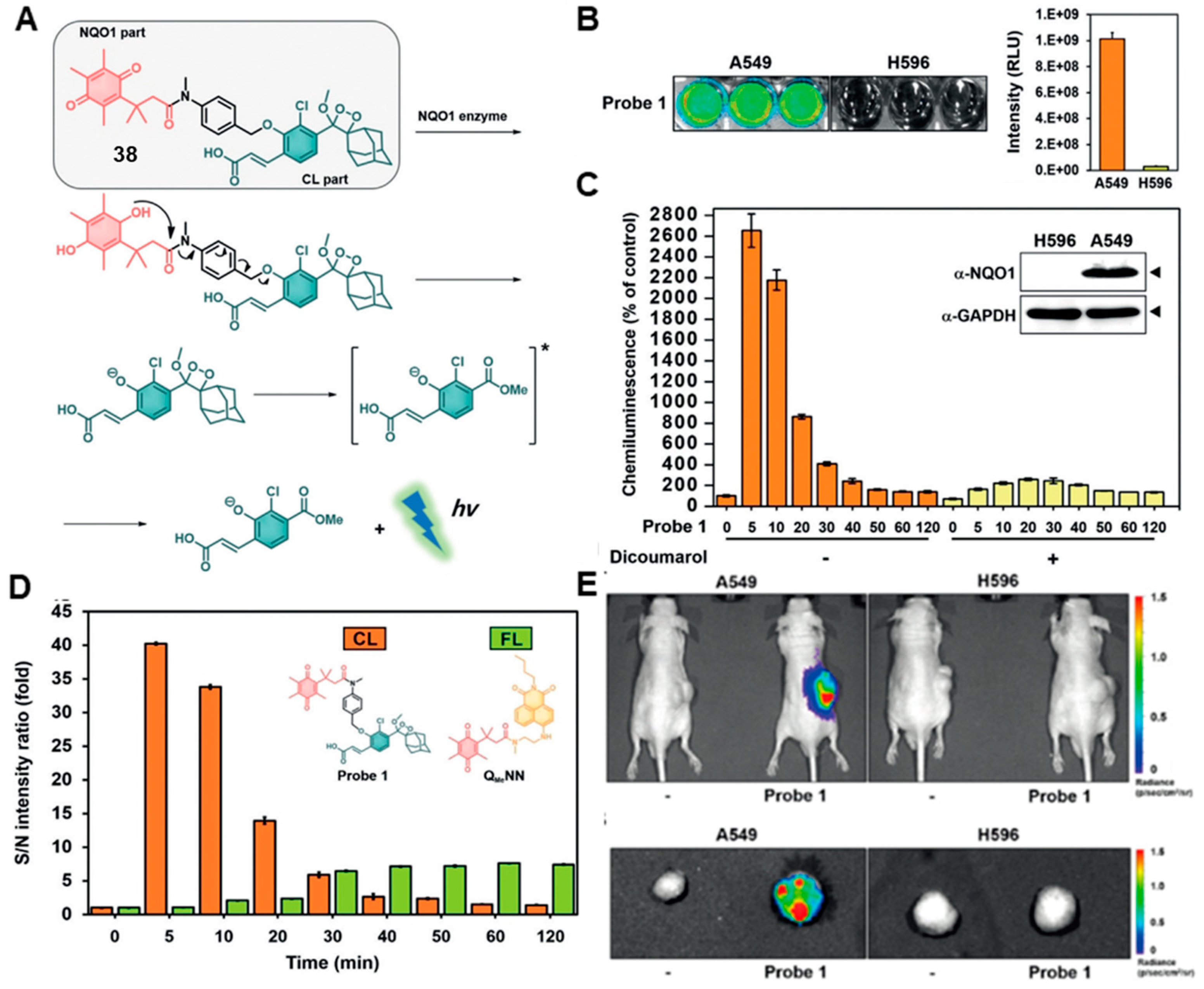 Chemosensors 11 00221 g015