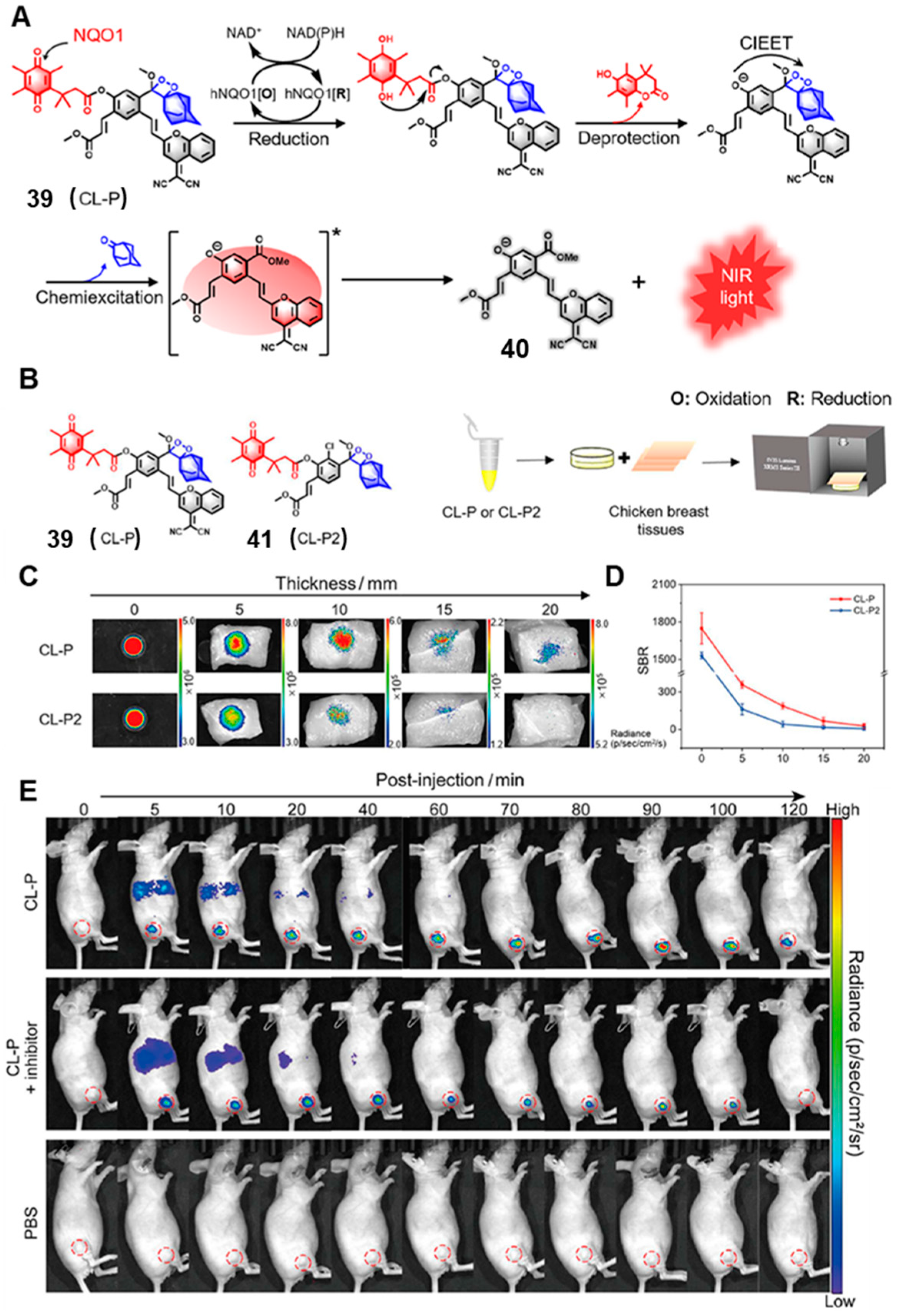 Chemosensors 11 00221 g016