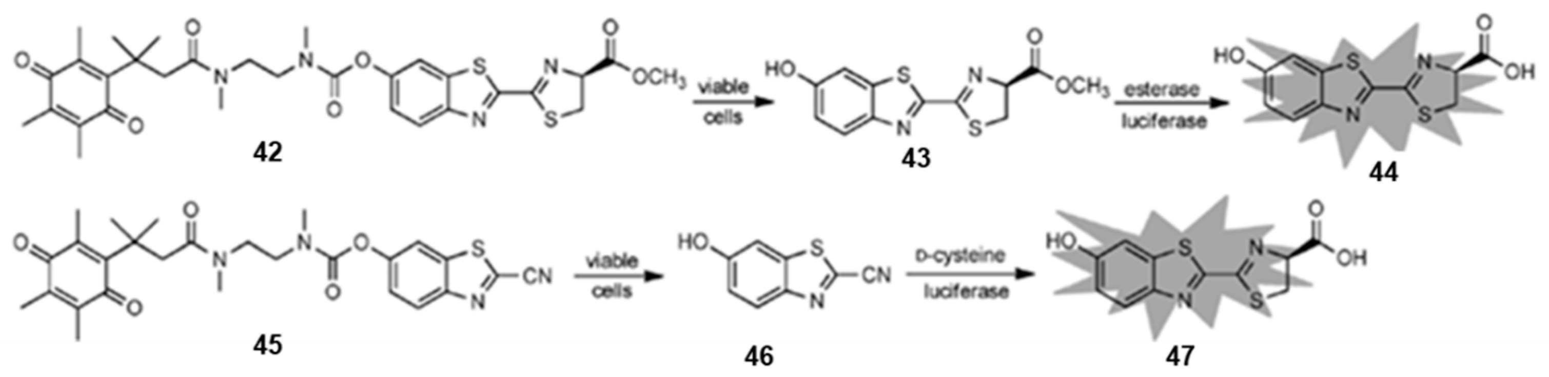 Chemosensors 11 00221 g017