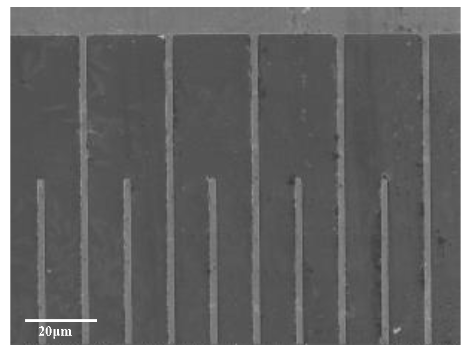 Chemosensors 11 00225 g006