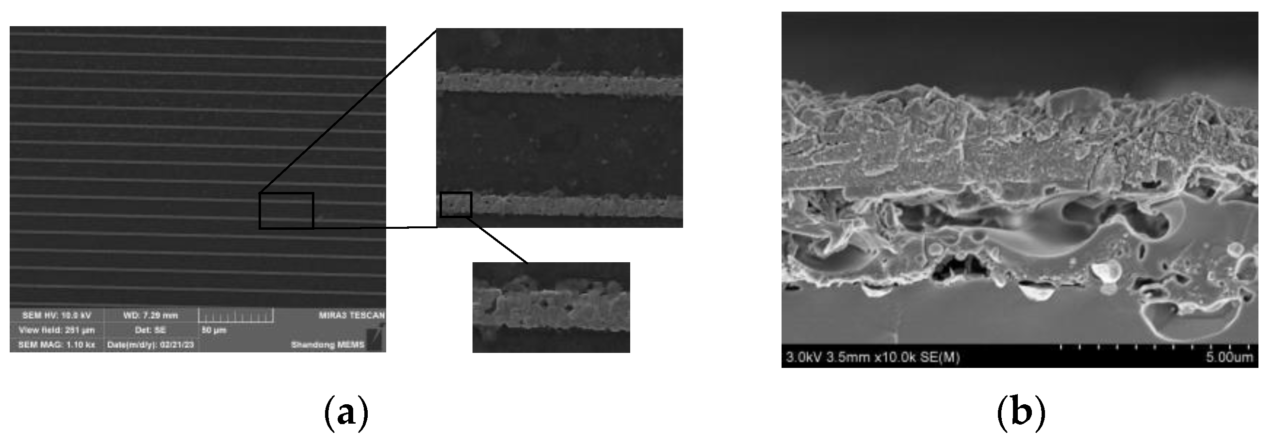 Chemosensors 11 00225 g010