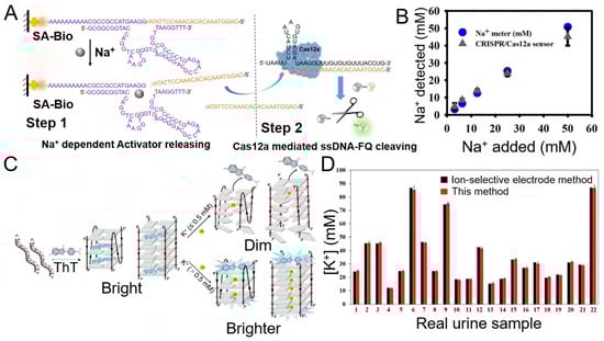 Chemosensors 11 00226 g002