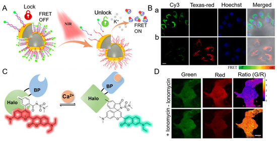 Chemosensors 11 00226 g006
