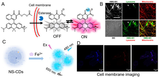 Chemosensors 11 00226 g007