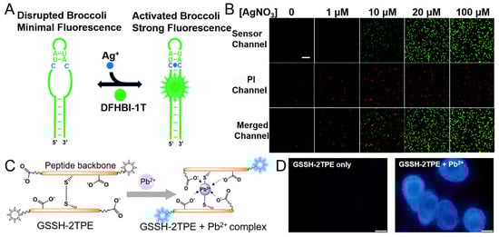 Chemosensors 11 00226 g009