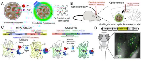 Chemosensors 11 00226 g011