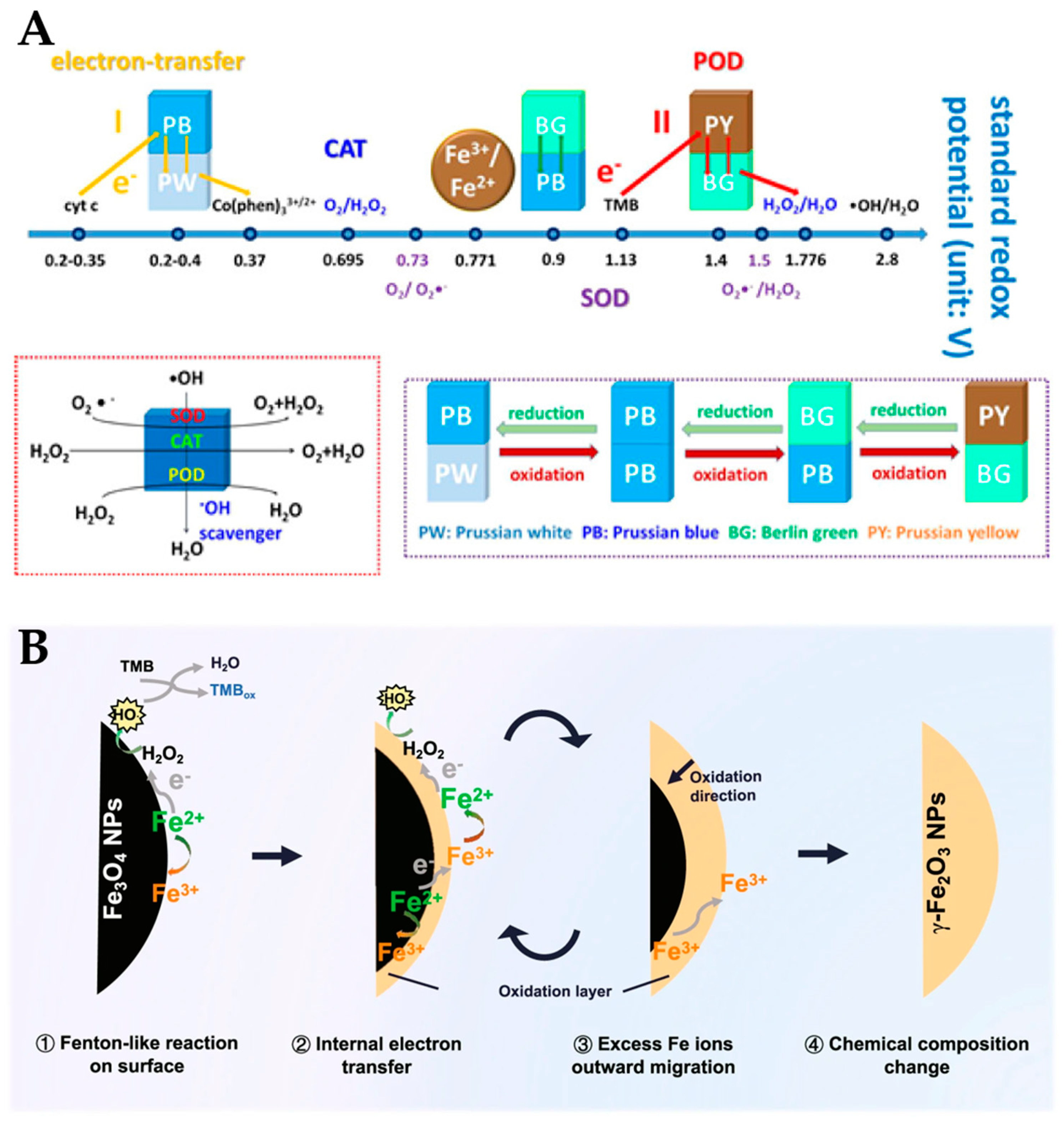 Chemosensors 11 00233 g002