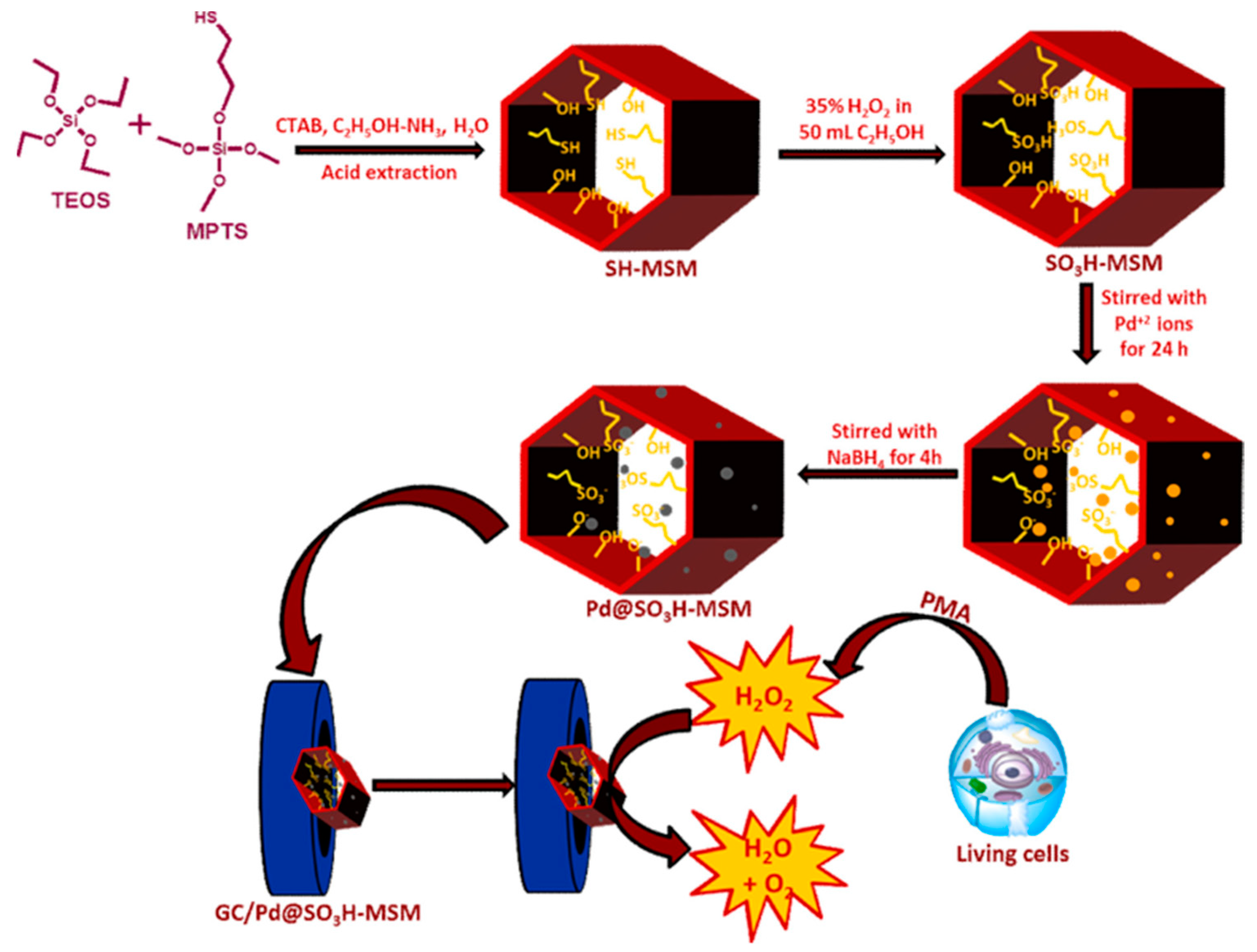 Chemosensors 11 00233 g005