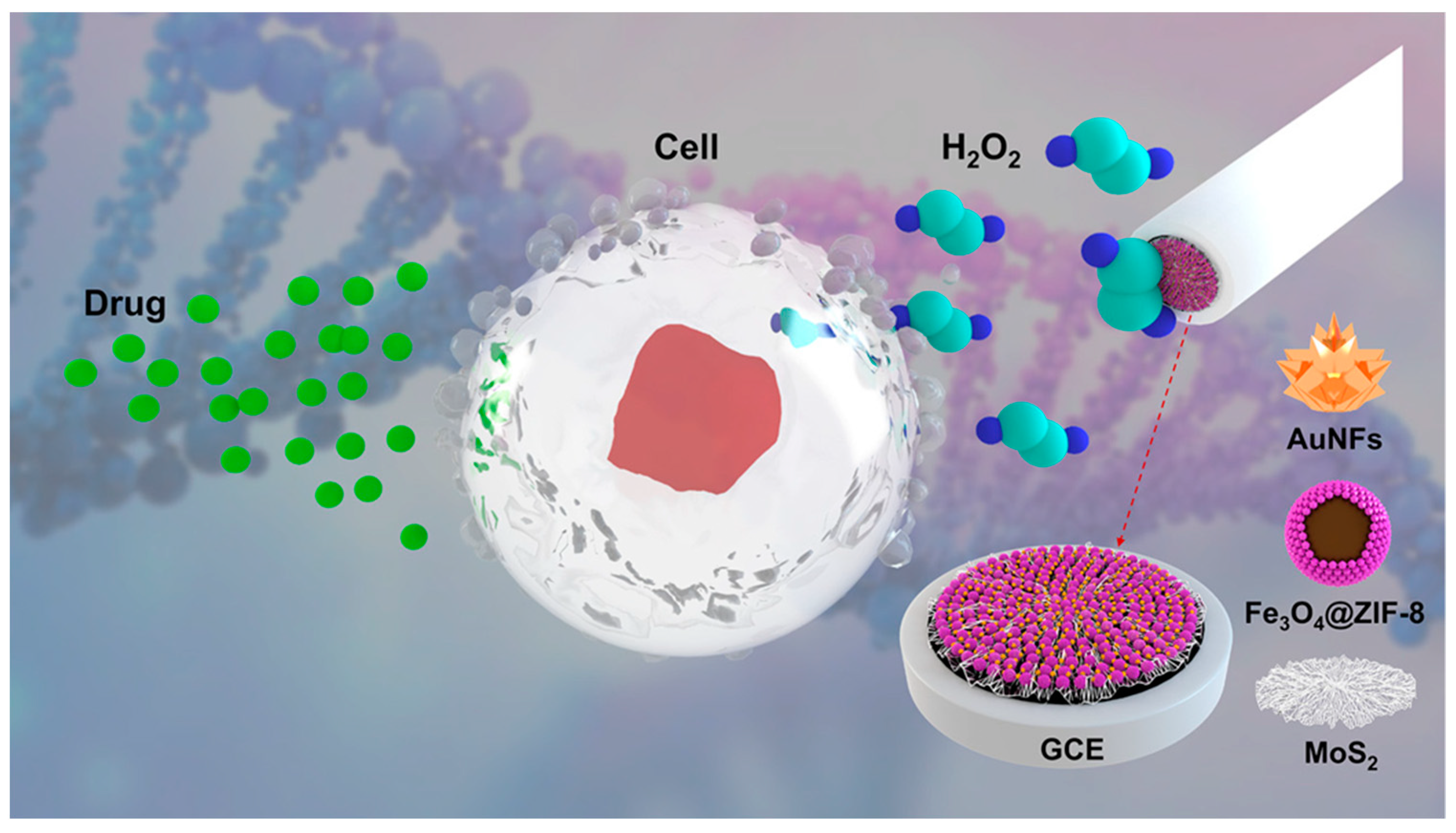 Chemosensors 11 00233 g007