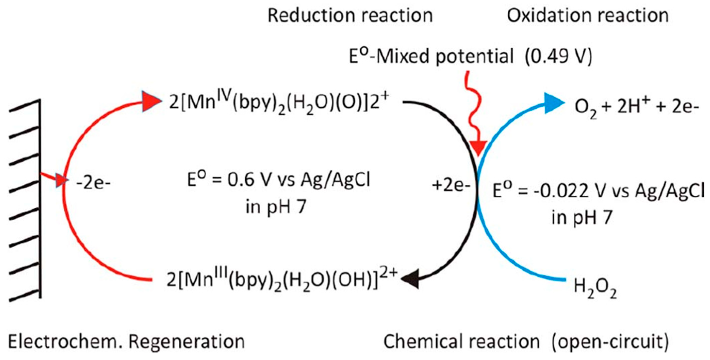 Chemosensors 11 00233 g009