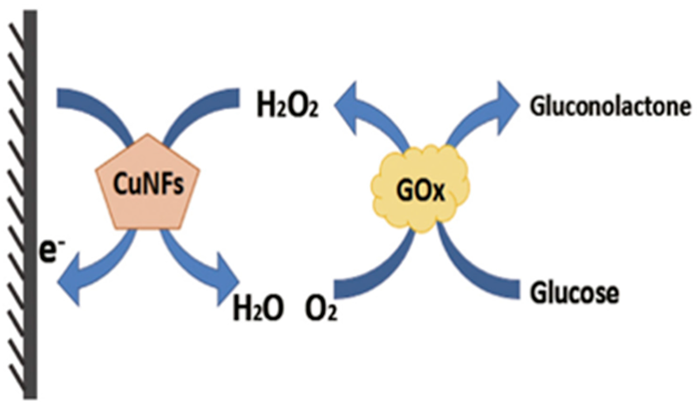 Chemosensors 11 00233 g014