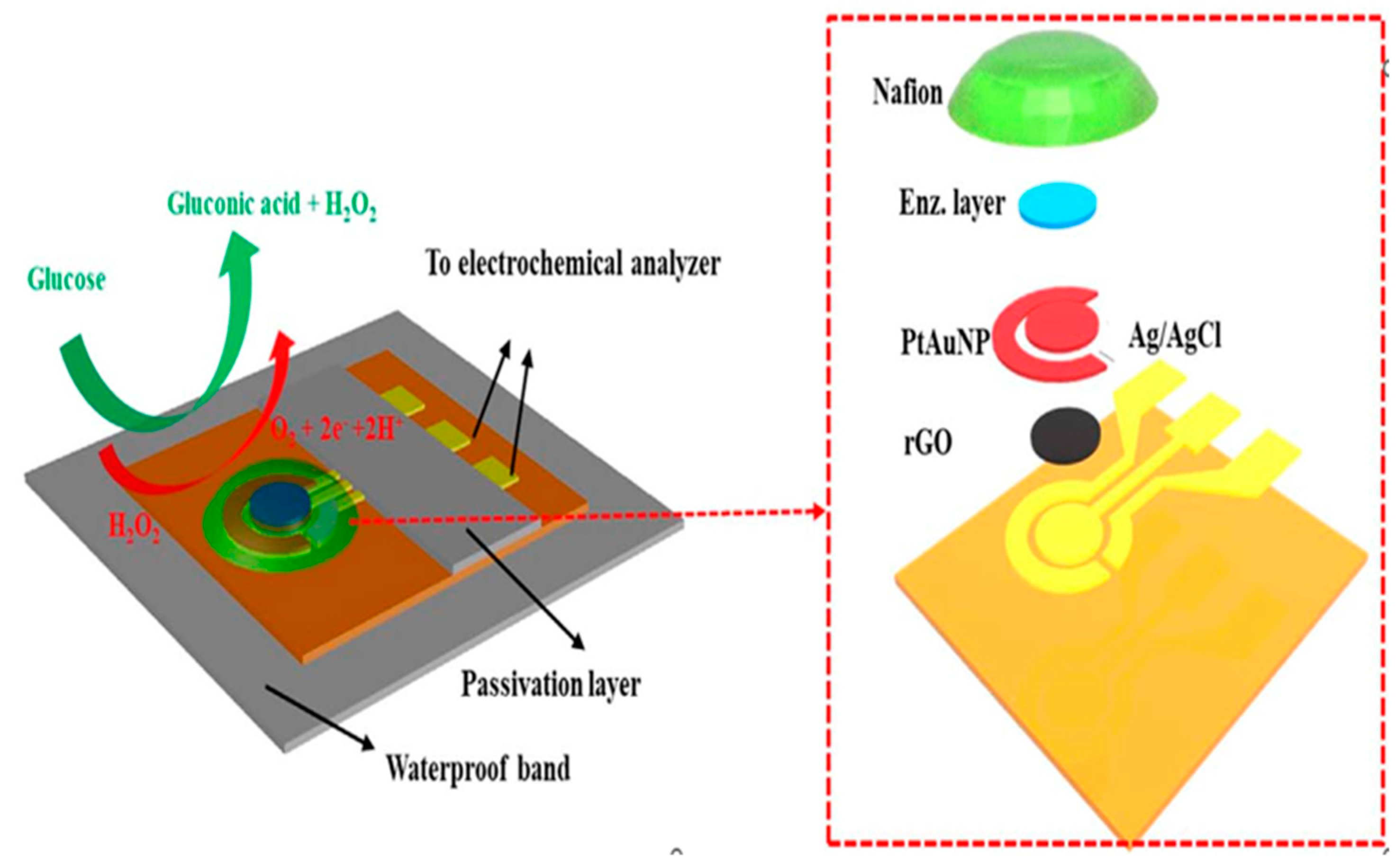 Chemosensors 11 00233 g015