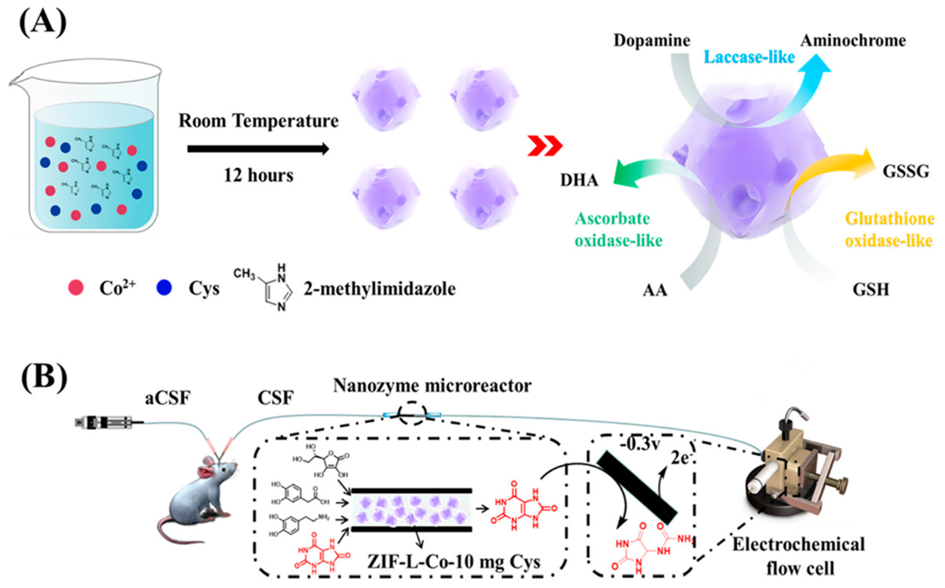 Chemosensors 11 00233 g020