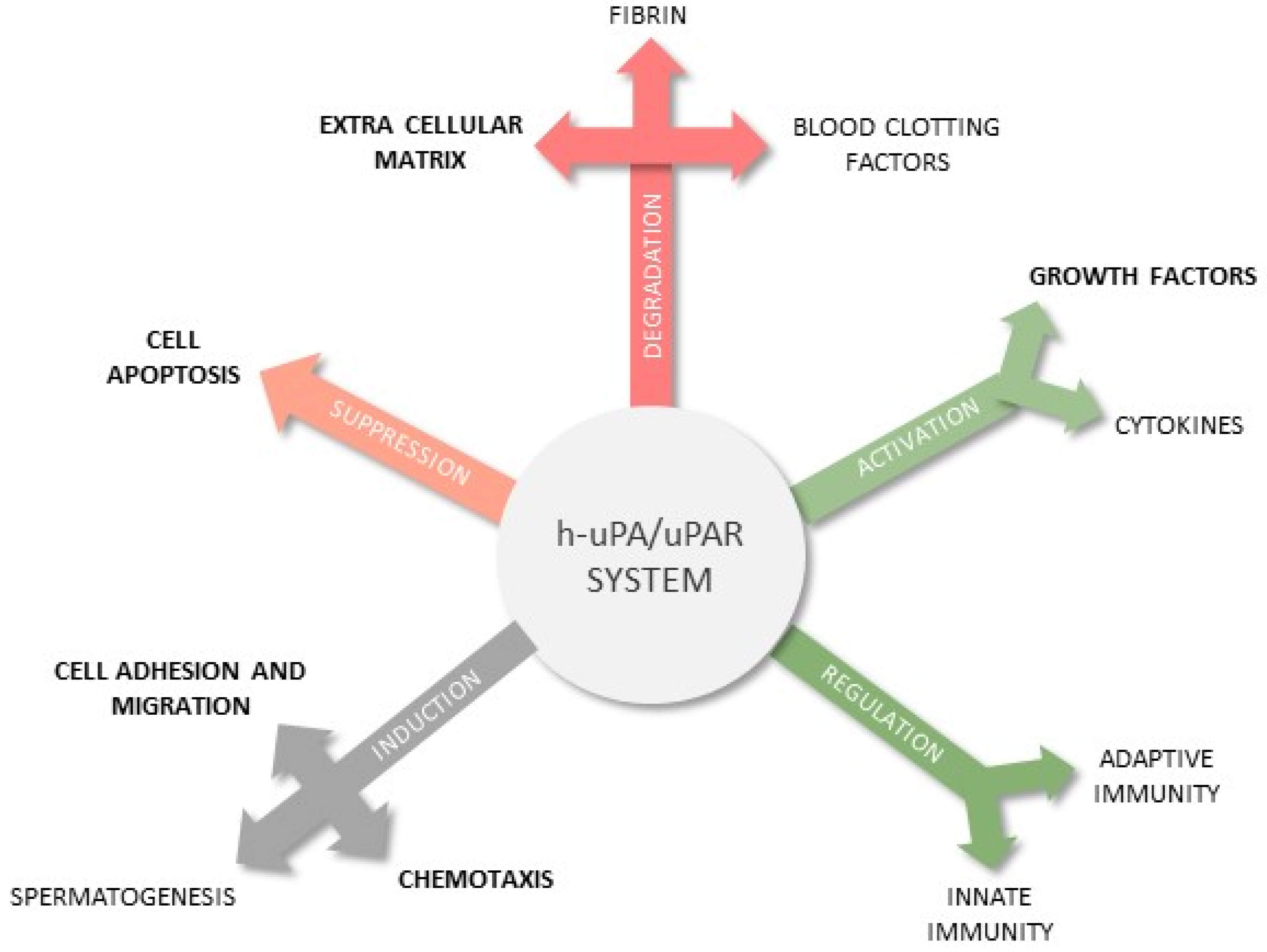Chemosensors 11 00234 g001