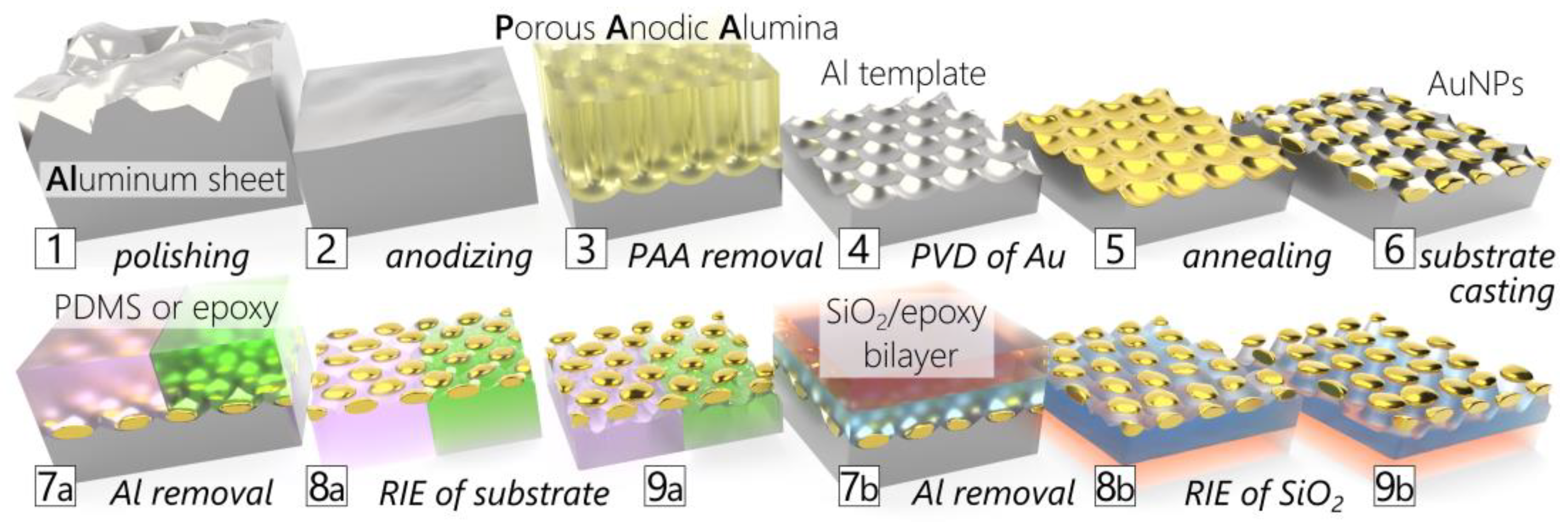 Chemosensors 11 00235 g001 Chemosensors 11 00235 g001
