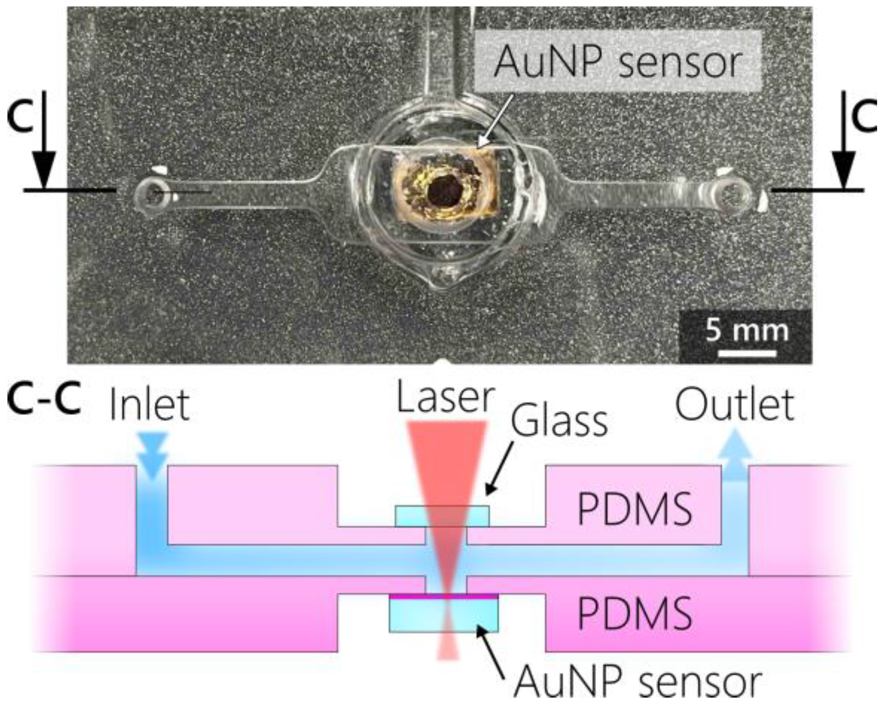 Chemosensors 11 00235 g003 Chemosensors 11 00235 g003