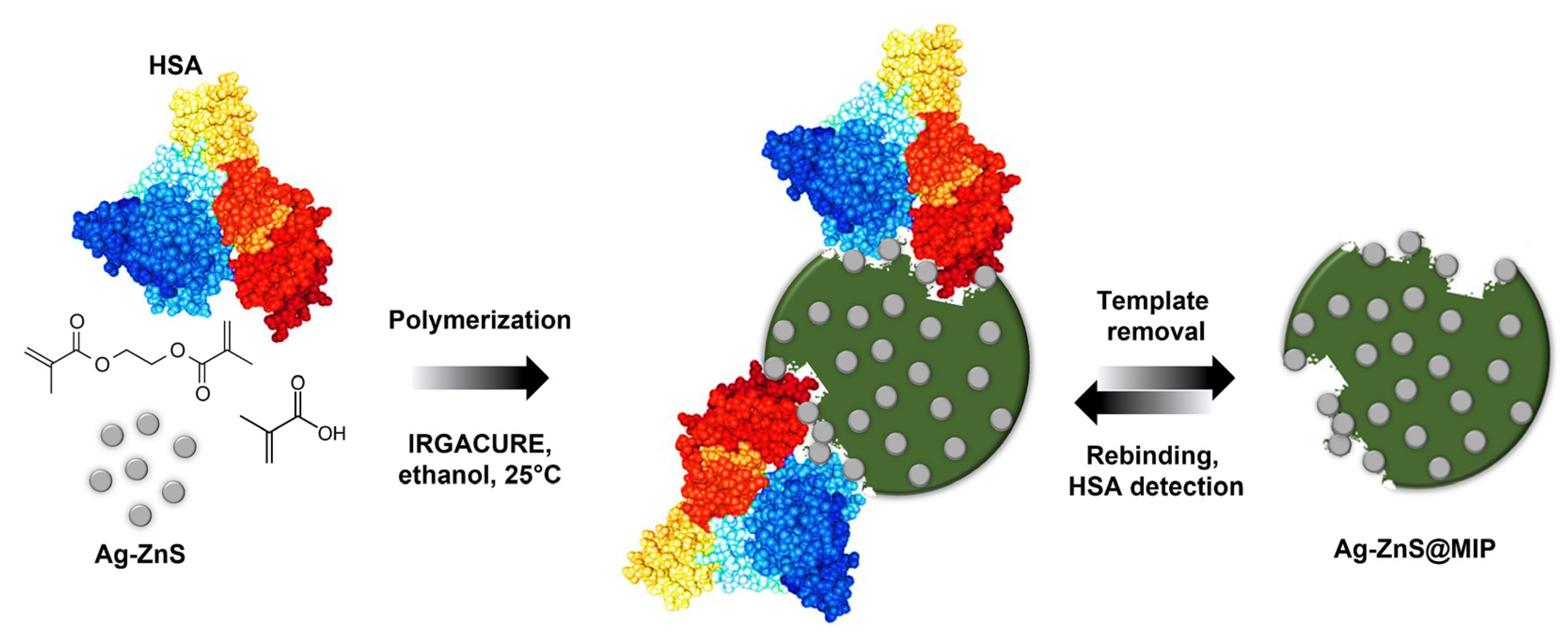 Chemosensors 11 00240 g001