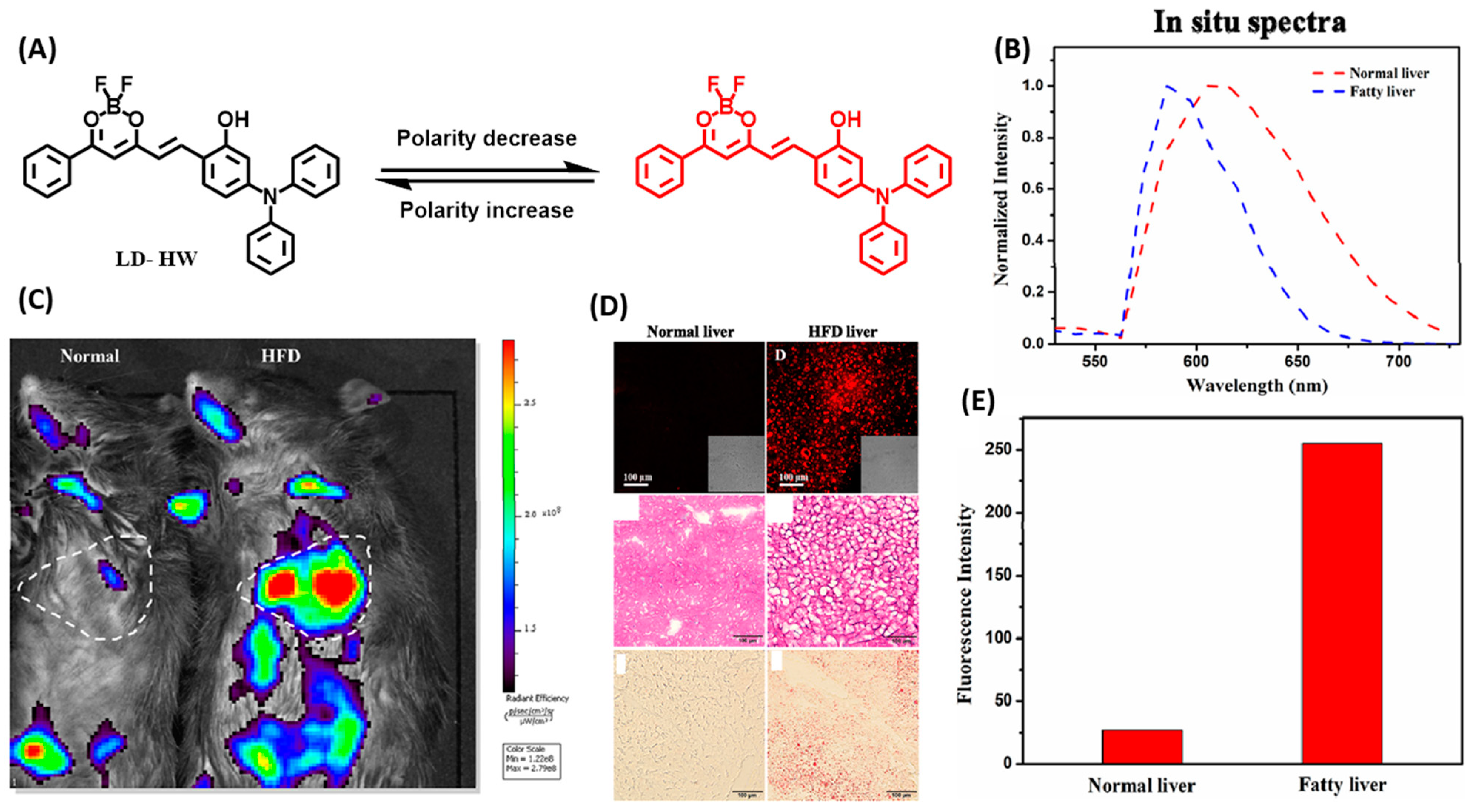 Chemosensors 11 00241 g010