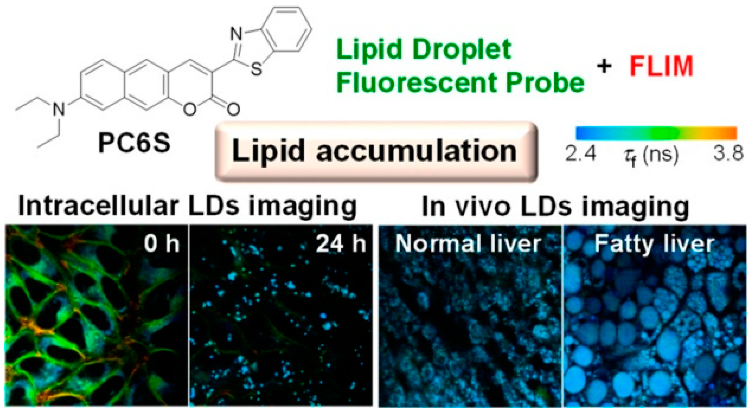 Chemosensors 11 00241 g011