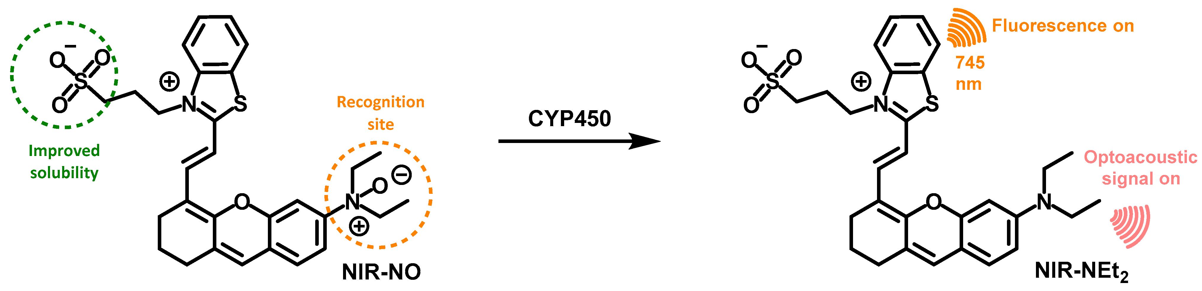 Chemosensors 11 00241 g020