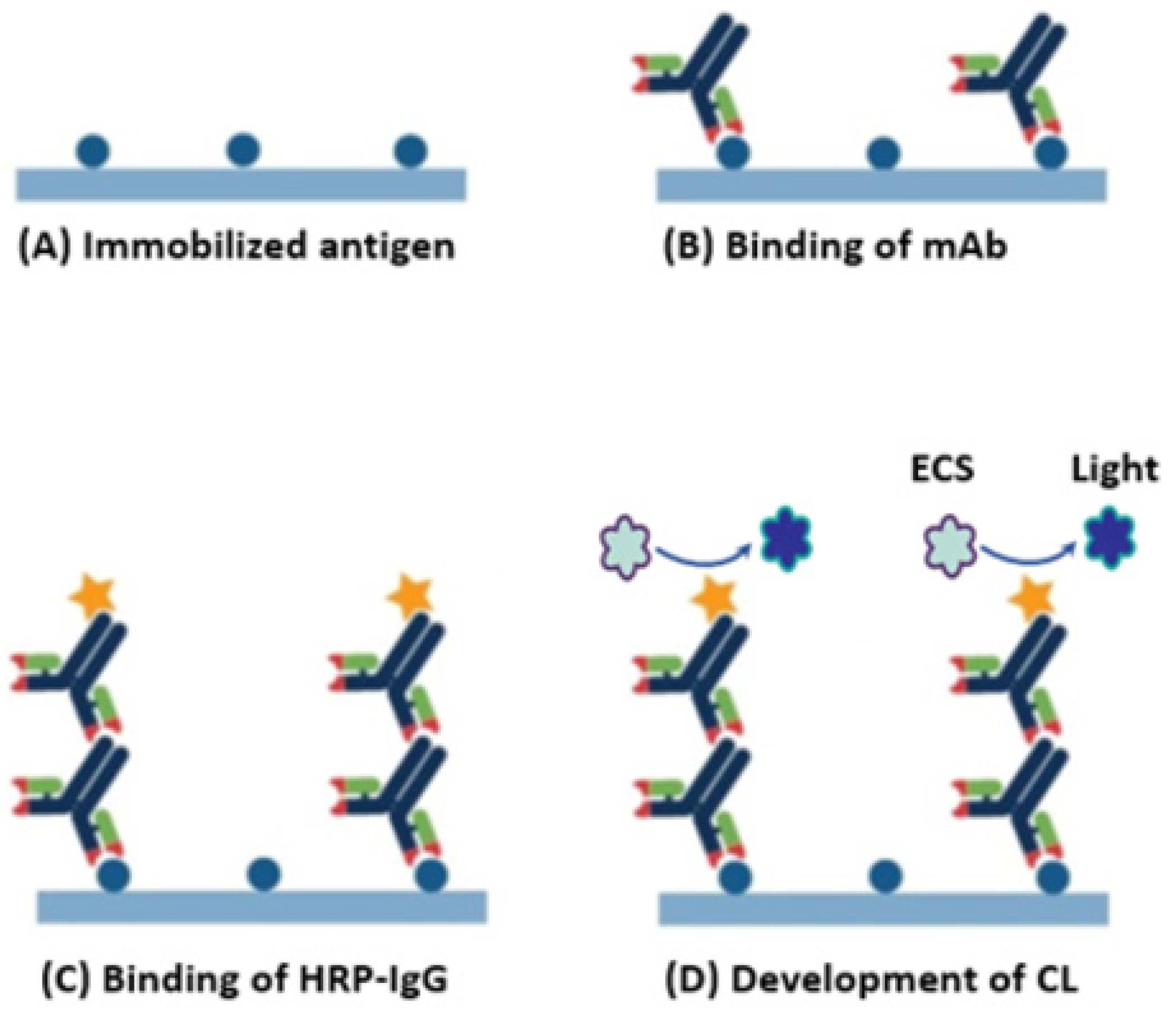 Chemosensors 11 00245 g001